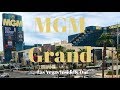 MGM Grand   The Gold Standard For Entertainment Themed Resorts