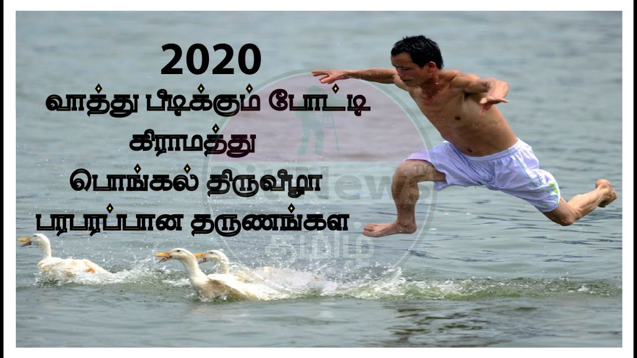 Duck Catching in Tank வாத்து பிடிக்கும் போட்டி கிராமத்து பொங்கல்