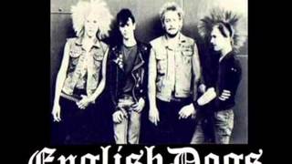 ENGLISH DOGS  -  AMBASSADOR OF FEAR   - 1984   RANTHAM UK