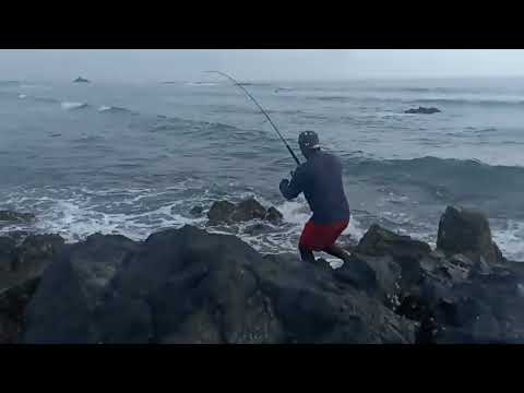 gt fishing at joginder nagar beach 🏖🏖 campbell bay