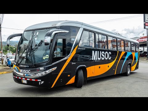 download lagu mp3 mp4 Gafeso, download lagu Gafeso gratis, unduh video klip Gafeso