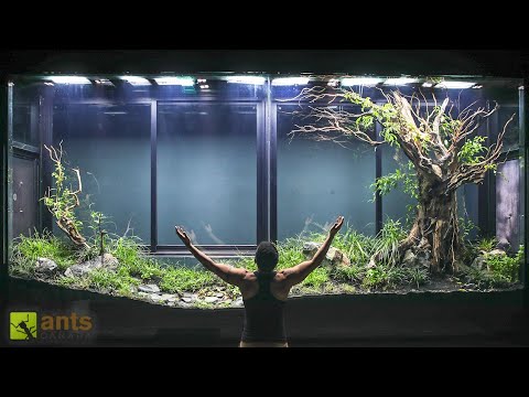 I Built a Giant Tropical Grasslands Vivarium