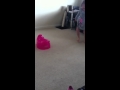 Liannah Forward Rolling