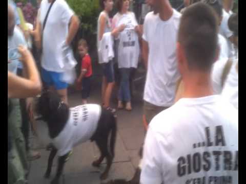 2015-07-31 - GIOSTRA DELL'ORSO- I RIONALI LA RIVOGLIONO