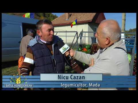 Satul hunedorean 22 octombrie 2017