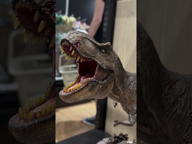 Vídeo relacionado con Safta 612463524 Small Jurassic World 9L 27x33x10 Cm Backpack One Size