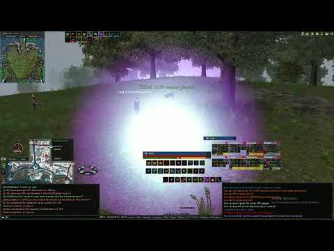 (DAOC PHOENIX) Marghy The Experienced healer is confused about the templar pet (HIB FIGHT)