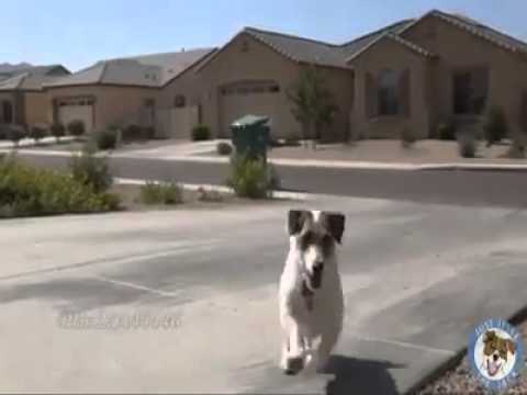 Gi svng gx shengxt no keni ya dx ka ta e...