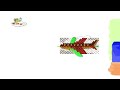 Baby Tv Art Red Plane