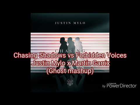 Martin Garrix x Justin Mylo - Chasing Shadows vs Forbidden Voices (JH Tøørr3s Mashup)