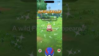Naawww the little cutie #life #pokemongo #shortvideos #viral #shorts
