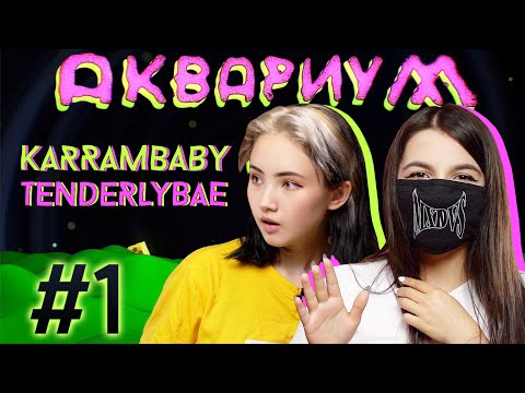 АКВАРИУМ #1 / TENDERLYBAE x KARRAMBABY