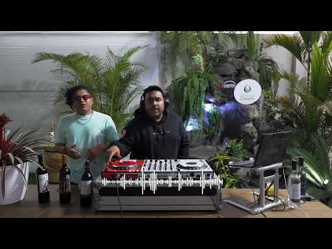 MIX TONERO🔥 (CUMBIA, MERENGUE, ROCK, BRASIL, TECNO, FESTEJO) FT. @djdiegoalonsom