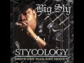 Big Sty - The One - Stycology