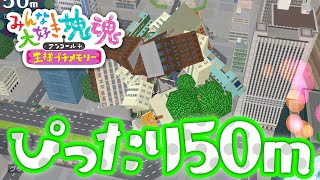 【みんな大好き塊魂アンコール＋】ビッグぴったり 50mぴったりでクリア