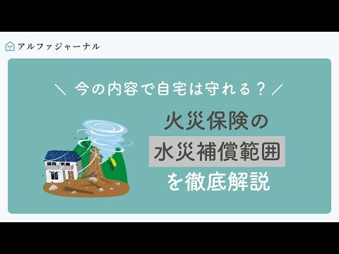 家庭用プールと庭の保険について知っておくべきことすべて  庭園