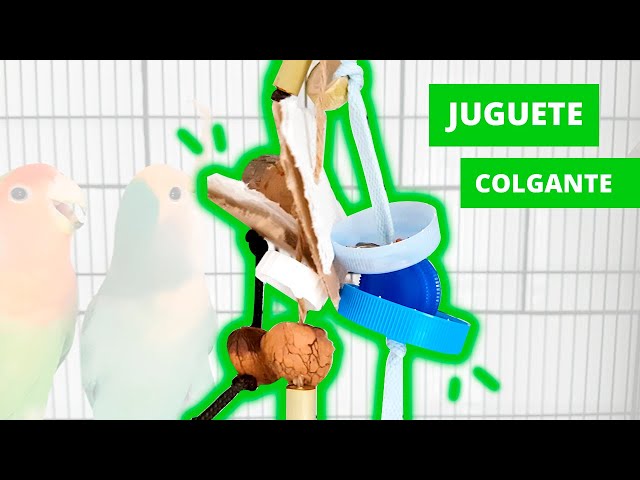 Vídeo relacionado con 12 Juguetes Agapornis de Madera Columpios Hamaca Escalera y Otros Colgantes Ideales para Agaporni Loros Cockatiels Jaula Loro y Otras Jaulas Incluidos
