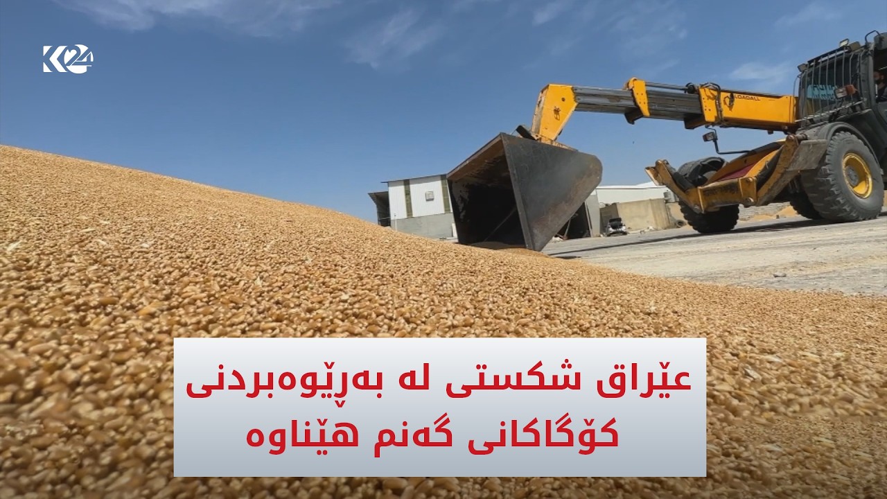 ڤیدیۆ | سەرەڕای حەوت ملیۆن تۆن گەنم عێراق گەورەترین هاوردەکاری ئاردە