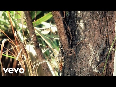 Joan Colomo - EL XIPRER