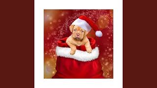 Real Christmas Spirit