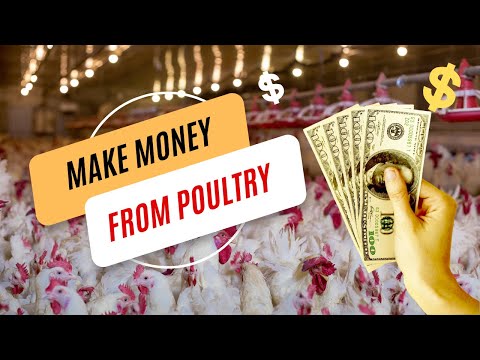 , title : 'How to Make Money with Poultry Farming'