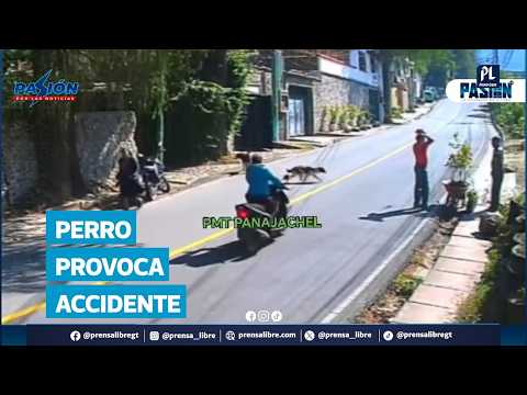 Un perro provoca caída de motorista, así quedó grabado el impactante momento