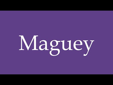 How To Pronounce ''Maguey'' Correctly in Spanish