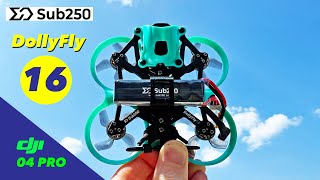 Sub250 DollyFly 16 - I Like This One!