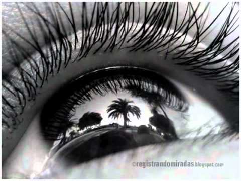 download lagu mp3 mp4 Si Te Pudiera Olvidar Alberto Y Roberto, download lagu Si Te Pudiera Olvidar Alberto Y Roberto gratis, unduh video klip Si Te Pudiera Olvidar Alberto Y Roberto