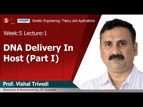 Genetic Engineering Theory and Application Intro Video