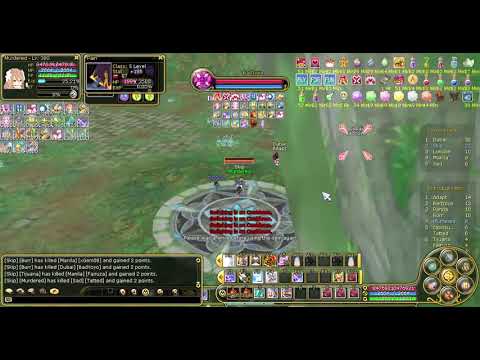 INSANITY FLYFF SKILL CRACK POV