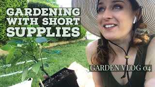 How I Use Old Potting Mix | Garden Vlog 04