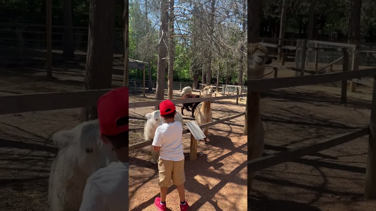 YouTube Short thumbnail