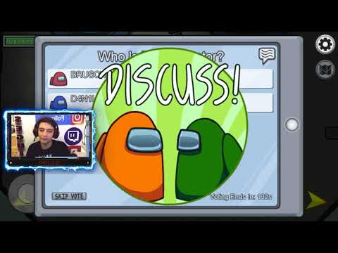 PRIMA VOLTA SU AMONG US!*LITIGI*