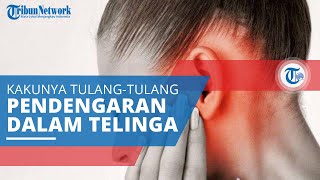 Otosklerosis, Gangguan Penyakit yang Terjadi karena Kakunya Tulang Pendengaran di Dalam Telinga