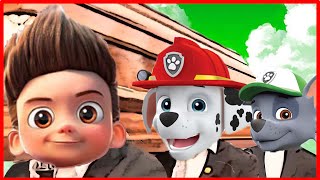 Download lagu PAW PATROL ( BEST Holiday Rescues) - Coffin Dance Song Meme Cover mp3