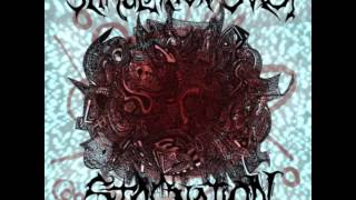 stimulation over stagnation 03 selector catalogue - normal sux