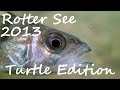 Diving - Rotter See 2013 - Turtle Edition #2 - Schildie im Rotter See - Europa, Rottersee - 53840 Troisdorf, Deutschland, Nordrhein-Westfalen