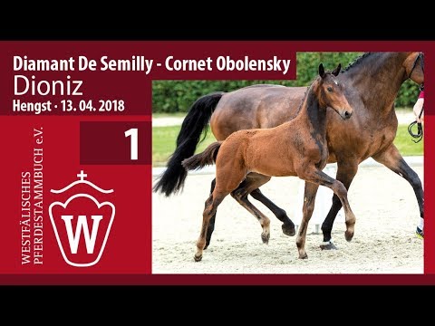 001 Dioniz  HF v. Diamant De Semilly -  Cornet Obolensky