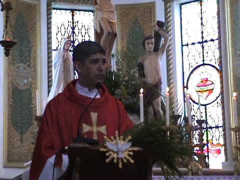 Homilia Pe. Lucas 13/04/2014 - Domingo de Ramos