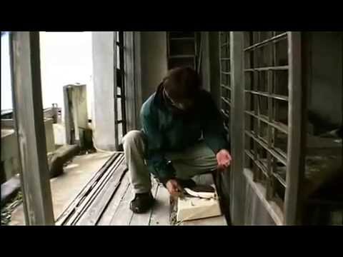Japan Documentary - Hashima The Ghost Island (Gunkanjima)