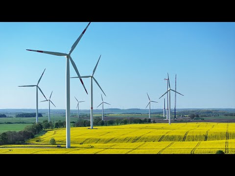 Wind farm project in Victoria will 'threaten' bird populations as ...