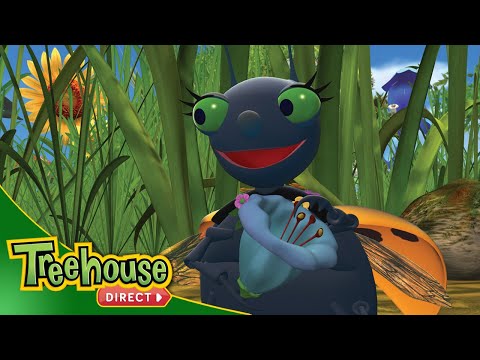 Miss Spider | Little Ladybug Lost / A Beetle-Ful Family - Ep.42