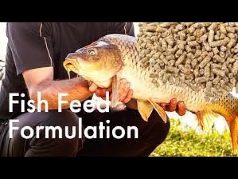 , title : 'Fish Farming | How to Become  rich faster | know the best fish feeds'