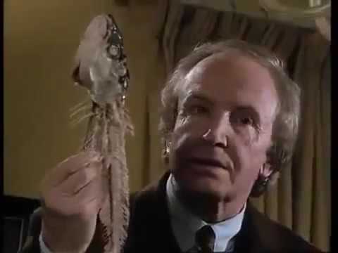 Der Alte Ende mit Schrecken Staffel 14 Folge 4 Nr. 149 1990 Komplett