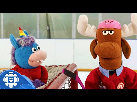 What in the Olympic Winter Games is a Net? | CBC Kids