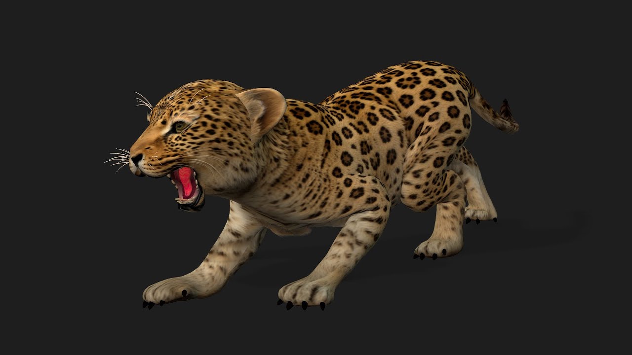 LeopardoBeb&eacute;A1 Modelo 3D