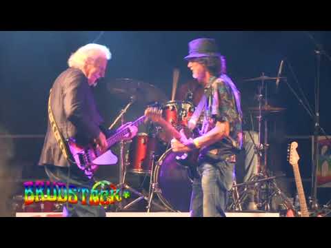 20° BRUDSTOCK - TOLO MARTON