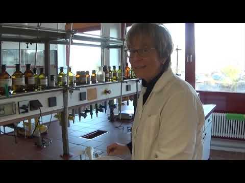 PTA-Schule Trier Herstellung Pressgranulat