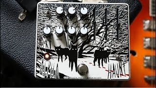 Video thumbnail for Old Blood Noise Endeavors - Alpha Haunt Fuzz Demo by Pedalboard of the Day